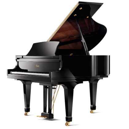 https://www.bostonpianos.com/pianos/essex/grand/egp-155
